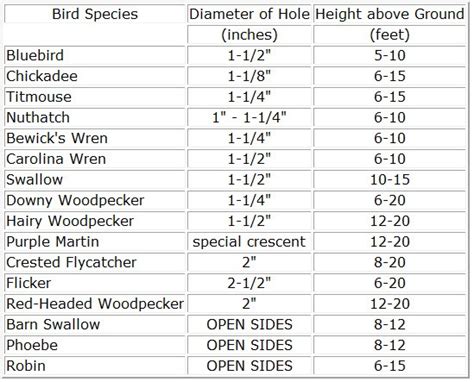 Bluebird House Hole Size