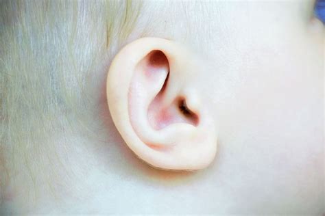 Your Babys Hearing