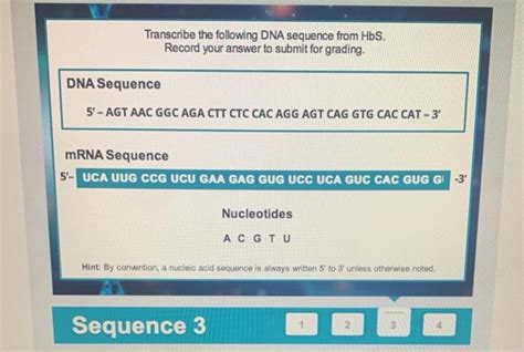 Solved Transcribe The Following DNA Sequence From HbS Chegg