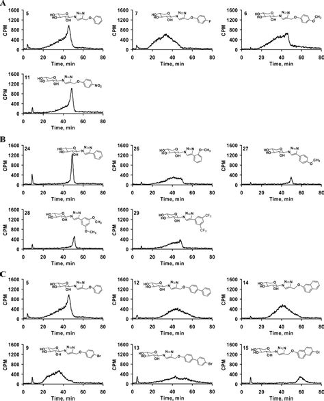 Investigating The Elusive Mechanism Of Glycosaminoglycan Biosynthesis