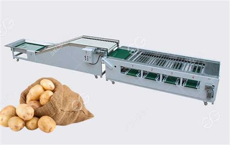 Automatic Potatoes Sorting Machine Divide Potato 3 6 Level