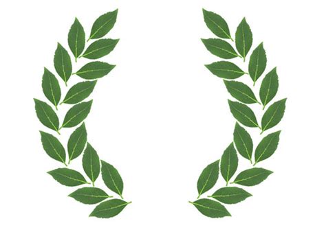 Alloro Зображення — огляд 2,403 Стокові фото, векторні зображення й ...