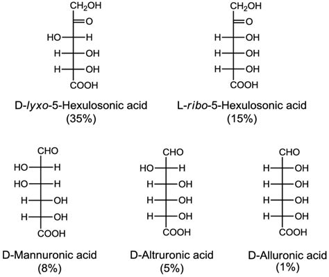 D Glucuronic Acid