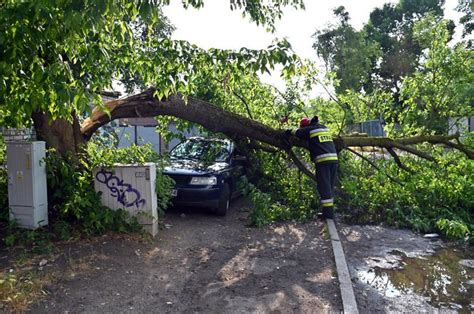 Szczecin Zniszczenia Po Przej Ciu Gwa Townej Burzy