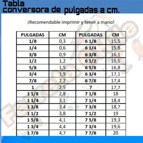 Cm To Pulgadas - jendela ilmu