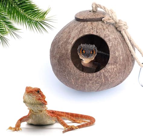 Gecko Coconut Husk Hut Bird Hut Nesting House Hideouts Hanging Home