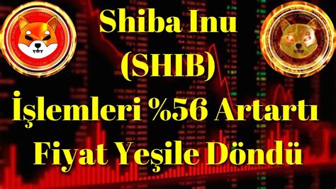 Kripto Sesli Haber Balina İşlemleri 56 Artarken Shiba Inu SHIB