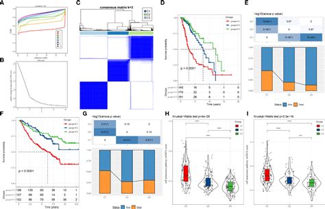 Frontiers Establishment Of Three Heterogeneous Subtypes And A Risk