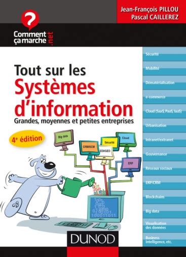 Management Des Syst Mes D Information Livre