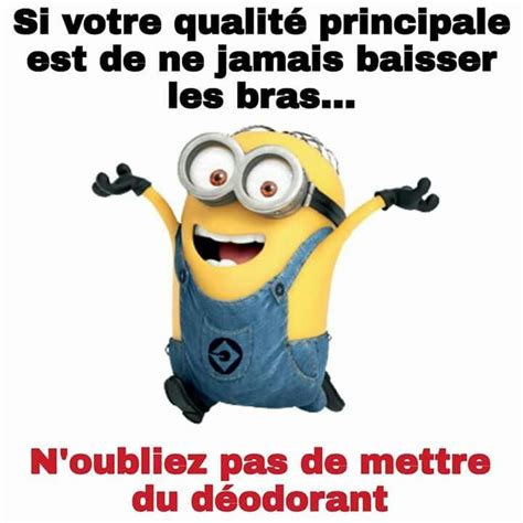 Les minions Minion humour Proverbes drôles Citations rire