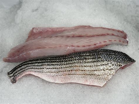 How To Fillet A Striped Bass