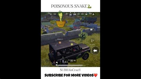 Poisonous Snake In Bgmi🐍🐍shorts Bgmi Pubg Youtubeshorts Shortvideo