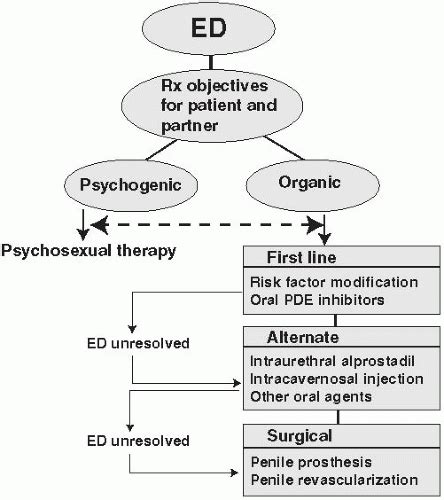 Vasculogenic Erectile Dysfunction Thoracic Key