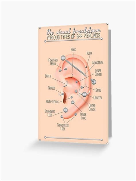 Ear Piercing Chart Greeting Card By Jarrod Redbubble Ear