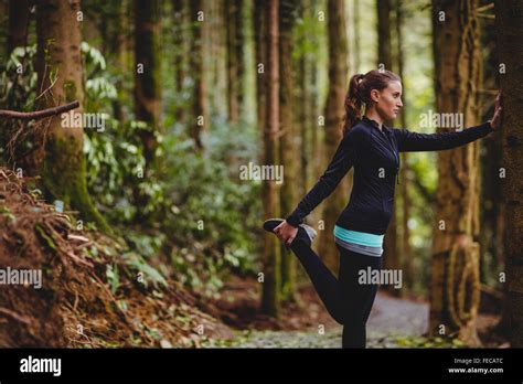 Fit Brunette Stretching Against A Tree Stock Photo Alamy