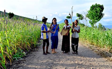 Perubahan Iklim Antara Aksi Dan Adaptasi Masyarakat Ntt Koaksi Indonesia