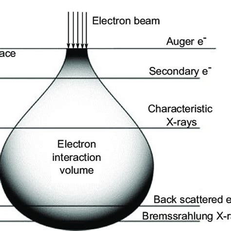 4: Transmission electron microscope schematic diagram. | Download ...