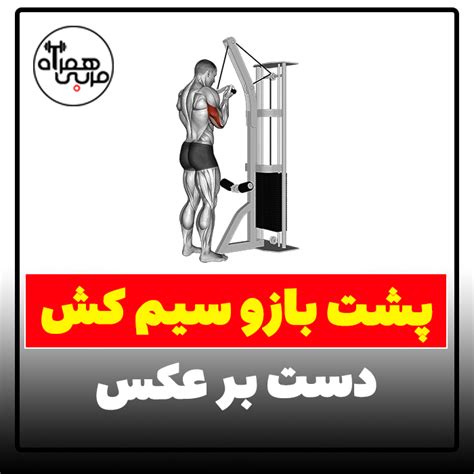 پشت بازو سیم کش دست بر عکس آموزش ویدیویی اجرای صحیح حرکت