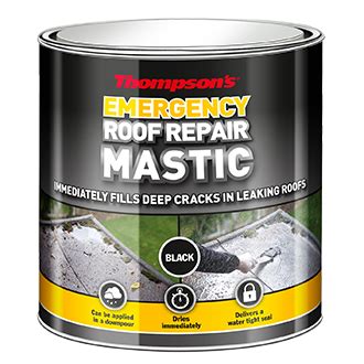 Emergency Roof Repair Mastic | Thompson's Weatherpoofing