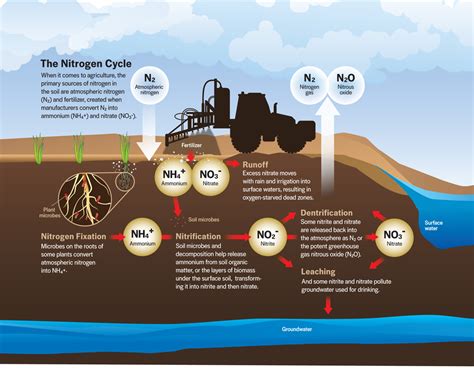 Nitrogen Fertilizer Runoff 