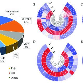 Changes In Relative Expression Levels Of Degs Encoding Transcription