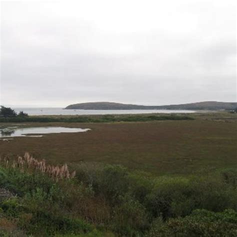 Wetland Ride Five Brooks At Bodega Bay