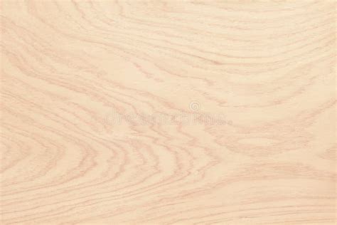 Plywood Surface In Natural Pattern With High Resolution Wooden Grained