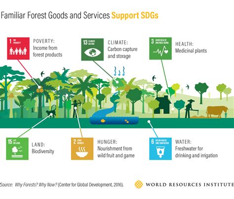 Forests And Sdgs Taking A Second Look Wri Indonesia