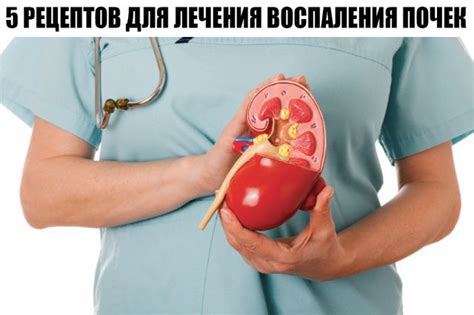 5 РЕЦЕПТОВ ДЛЯ ЛЕЧЕНИЯ ВОСПАЛЕНИЯ ПОЧЕК – Telegraph