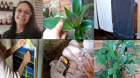 ROTINA DE DONA DE CASA Lavei Roupas Mostrando Algumas Plantinhas