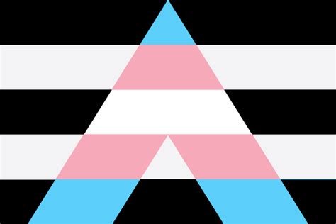 A Guide For Trans Allies