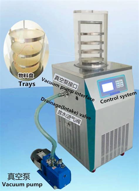 2019 New Arrival Laboratory Freeze Dryer Mini Lyophilizer Vacuum Dryer