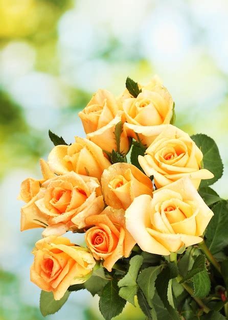 Premium Photo | Beautiful bouquet of roses on green background