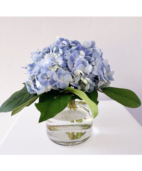 Hydrangea Cylinder Centerpiece | Marco Island Florist (FL) Same-Day ...