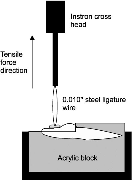 Schematic Drawing Of Tensile Stress Testing Download Scientific Diagram