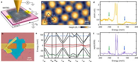 Spectroscopic Signatures Of Many Body Correlations In Magic Angle Twisted Bilayer Graphene