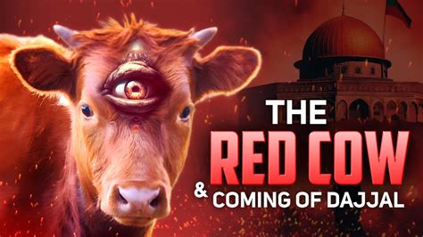 Is This RED COW Really Marks The Age Of Dajjal Must Watch