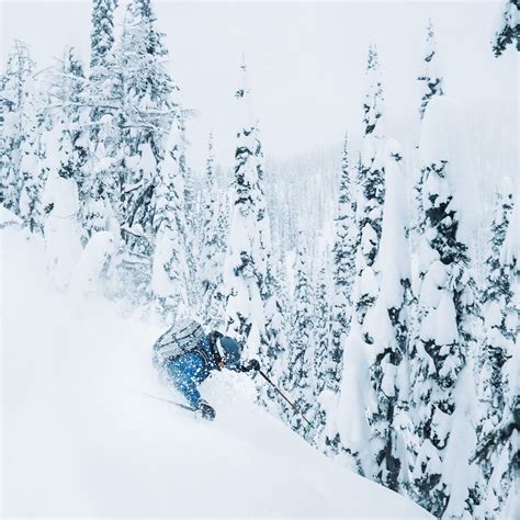 Staying Alive In Avalanche Terrain 2