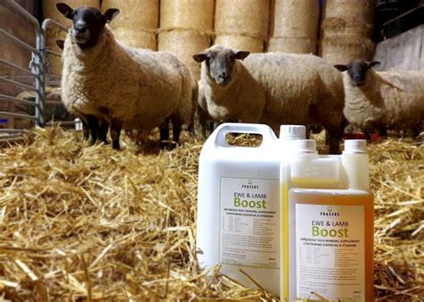 Ewe And Lamb Boost 20 Litre Twin Lamb Vitamin B Supplement The Frazers