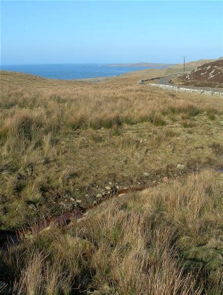 Rough Grazing © Mary And Angus Hogg Geograph Britain And Ireland