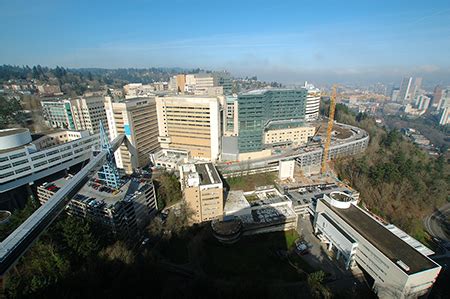 About OHSU Urology | OHSU