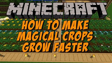 Make Magical Crops Grow Faster Minecraft Youtube