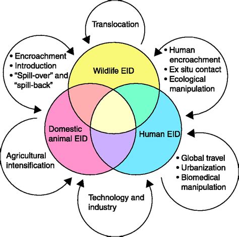 Emerging Infectious Diseases Of Wildlife Threats To Biodiversity And