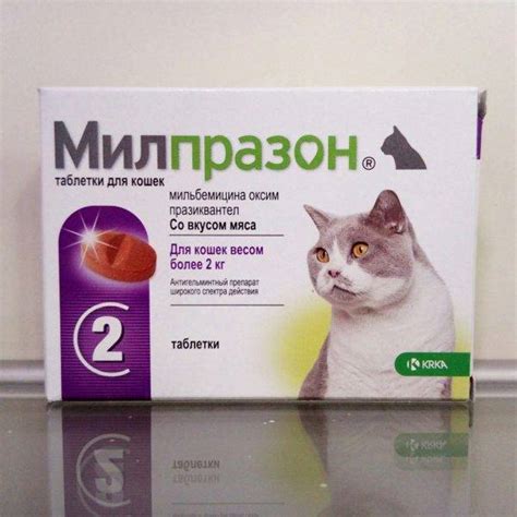 Милпразон для кошек: инструкция по применению, аналоги, отзывы