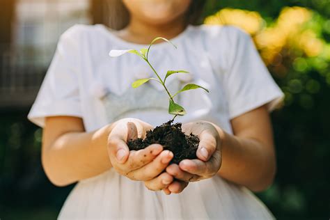 Konferencja Edukacja zmiany Dlaczego i jak uczyć o zmianach klimatu