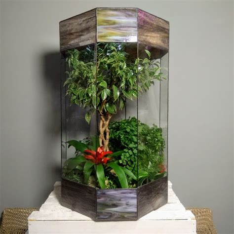 Флорариум с цветным витражным стеклом | Интернет-магазин Flora-glass ...