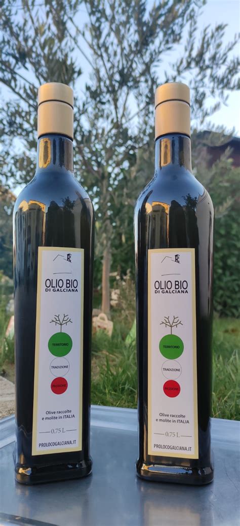 Nasce L Olio Di Galciana Pro Loco Galciana