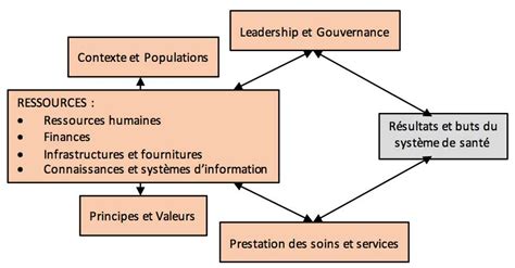 Besoins Et D Fis Des Syst Mes De Sant