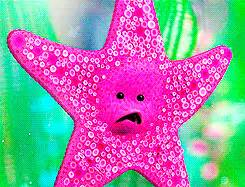 starfish finding nemo gifs | WiffleGif