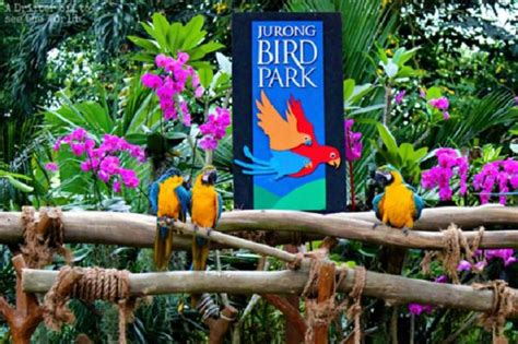 Jurong Bird Park Admission Ticket 2024 - Singapore